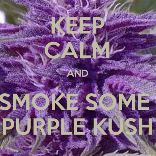 purple-kush_oh’s avatar