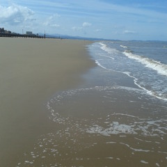 teef the house skanka