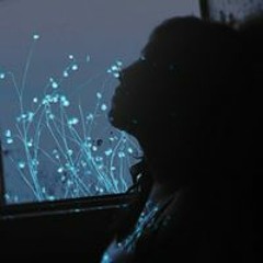 Almendra Francisca Valle