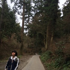 Pearadit Panuwattanawong