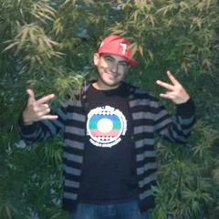 Rodrigo Andres Hxerta