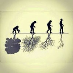 Jhonata Alves Da Silva