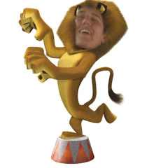 Alex The Lion