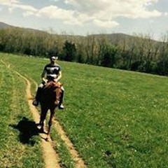 Nadeem Deemo Shariff