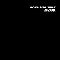 fokusgruppe