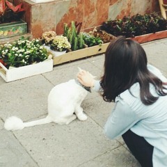 libra_ acoustic_cocoon