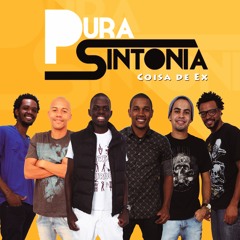 Grupo Pura Sintonia