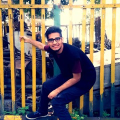 Vaibhav Nougain