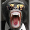 FunkyMonkeyTunez