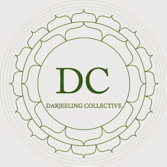 Darjeeling Collective