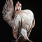 Criti Chickin