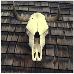 Heavy Dusted Southern