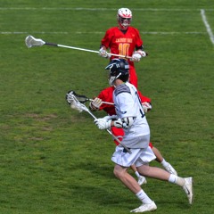 Dylan Bird 3