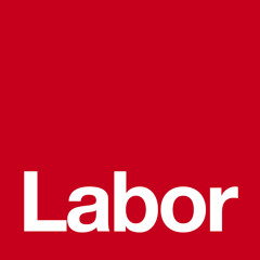 Liberals to appeal AER determination