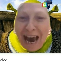 inevermaketoastright