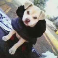 Jamilla Bailey Jewell