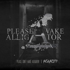 PleaseDon'tWakeAlligator
