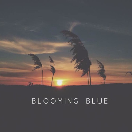 Blooming Blue’s avatar