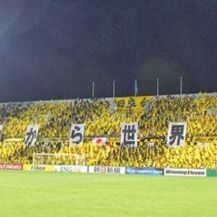 TheDMC1020