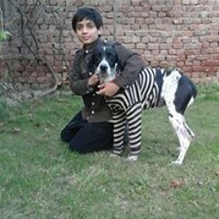Shaheer Ahmed Bhatti