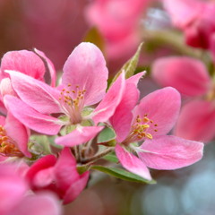 Rainy Spring Day (PA)