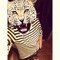 ~ |H|izeDule'eExnN-- ♥♥