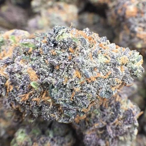 Domo Genesis - More Clouds