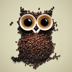 sam.hamalawy