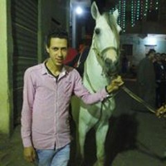 mostafa