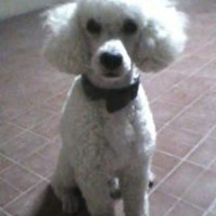 Pedro Andrés Brañez