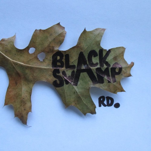 Black Swamp Road’s avatar