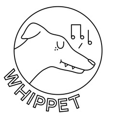 Whippet