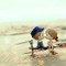 Salman Manzoor 1