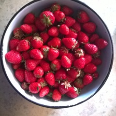 what-what-katemonster