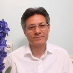 Reza Masoomi