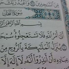 Gehad Mohammed