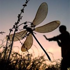 Rosemary van Schalkwyk