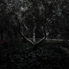 Mysterium Coniunctionis