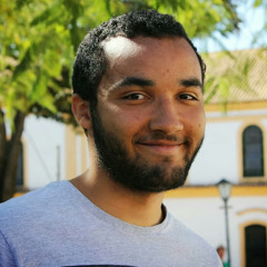 Flávio Toassi