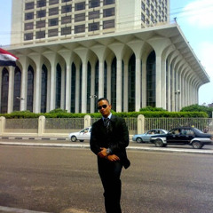 Ahmed Abdel Hamid