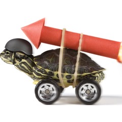 RocketTurtle