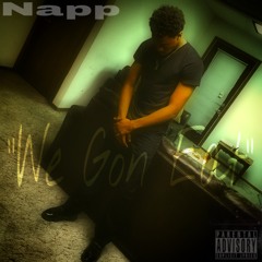 NAPP 2 P's