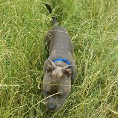 Christopher Allen Stone