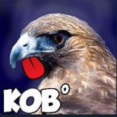 Kobthehawk