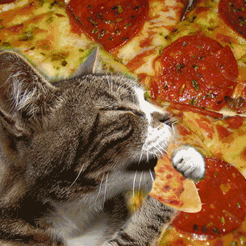 PizzaCat’s avatar