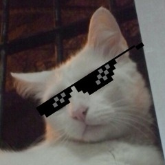 Teffy
