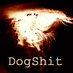 DogShit