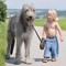 TheBigDogsMusicWorld