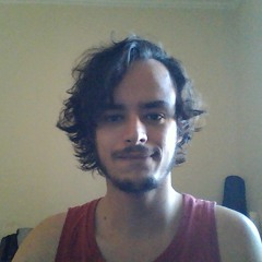 Luiz Henrique Picasso