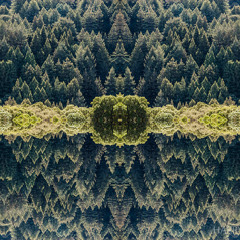 Stereo Serum B-Sides